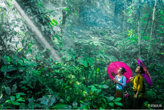 西双版纳州文化和旅游局