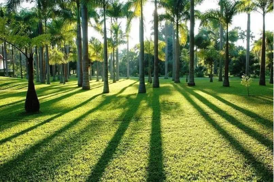 西双版纳州文化和旅游局