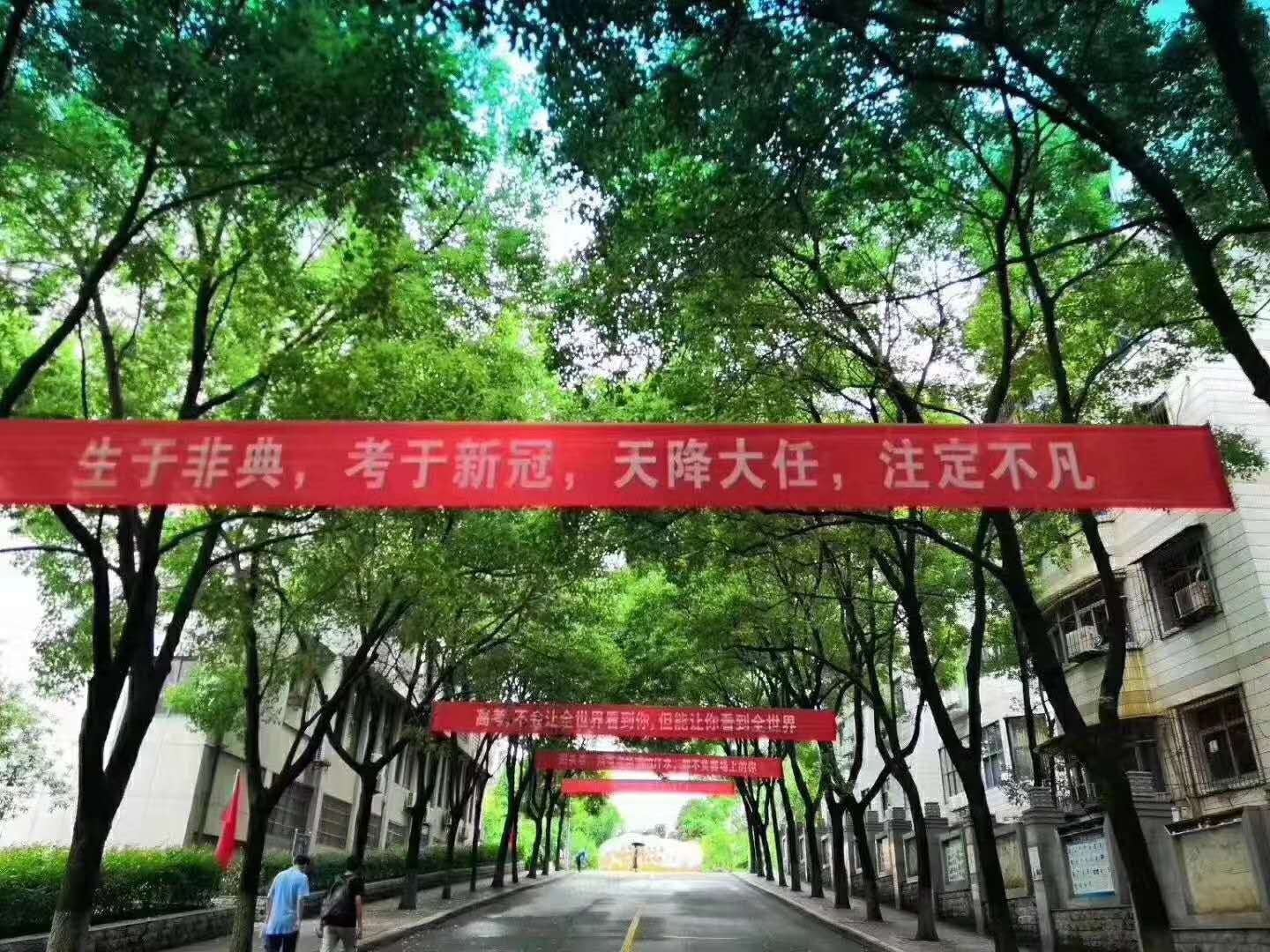 丽江热线