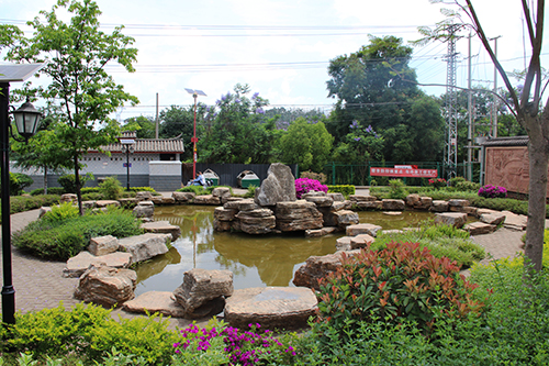 绿化亮化 家园美丽