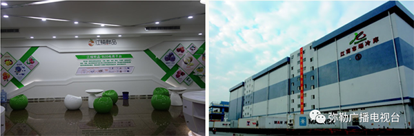 红河哈尼族彝族自治州人民政府网站