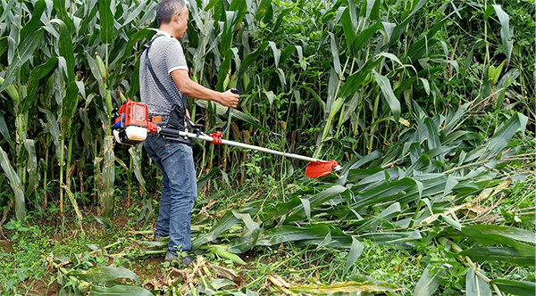 红河哈尼族彝族自治州人民政府网站