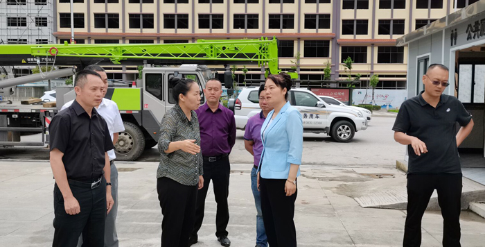 梁映敏到马关县调研督导爱国卫生专项行动工作