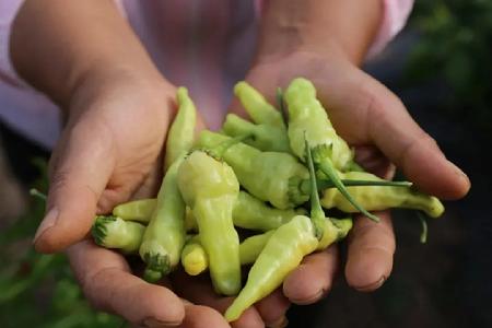 玉溪市人民政府