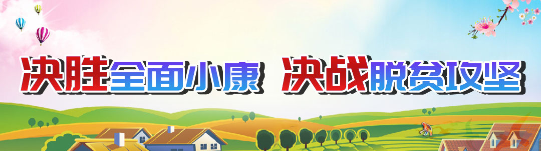 丽江热线