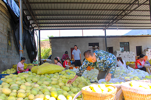 玉溪市人民政府