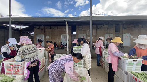 玉溪市人民政府