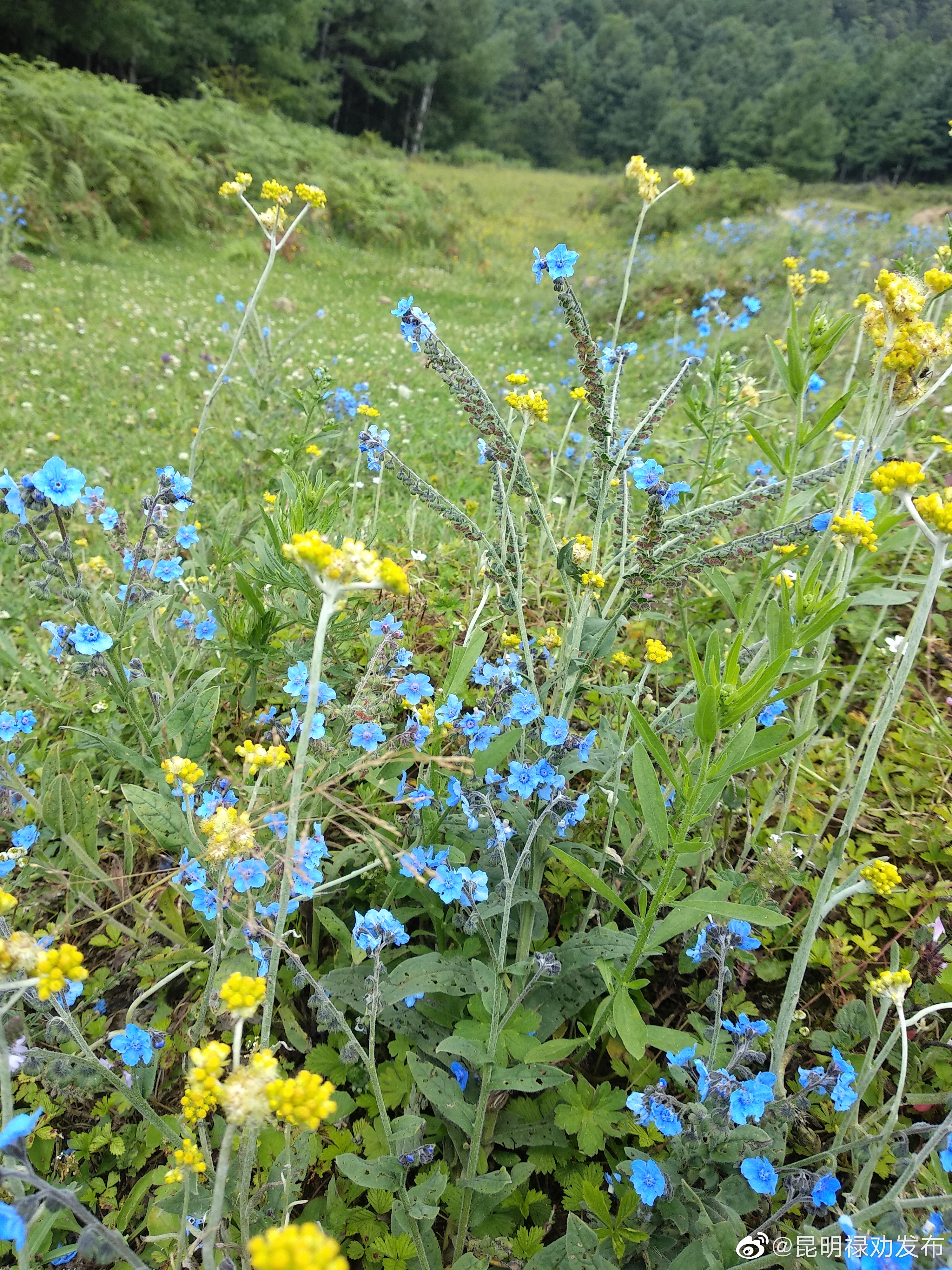 无论什么年纪，都不要对自己做这3件事