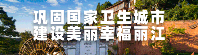 丽江热线