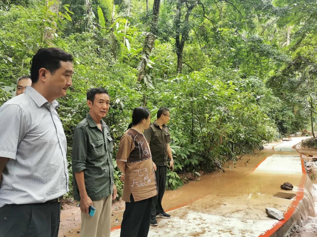 西双版纳州文化和旅游局