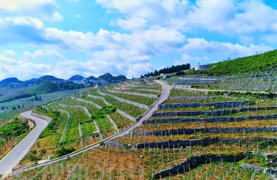 文山壮族自治州人民政府