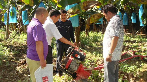 红河哈尼族彝族自治州人民政府网站