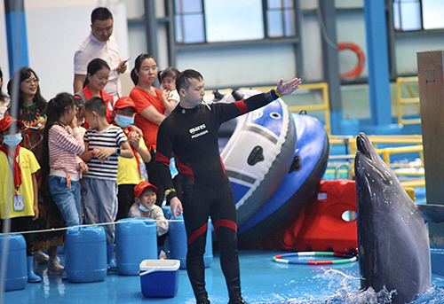 8月寒武纪小镇游客突破20万人次