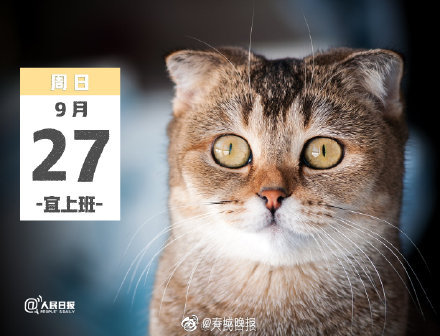 重要提醒：这周日上班！