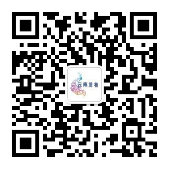 玉溪市人民政府