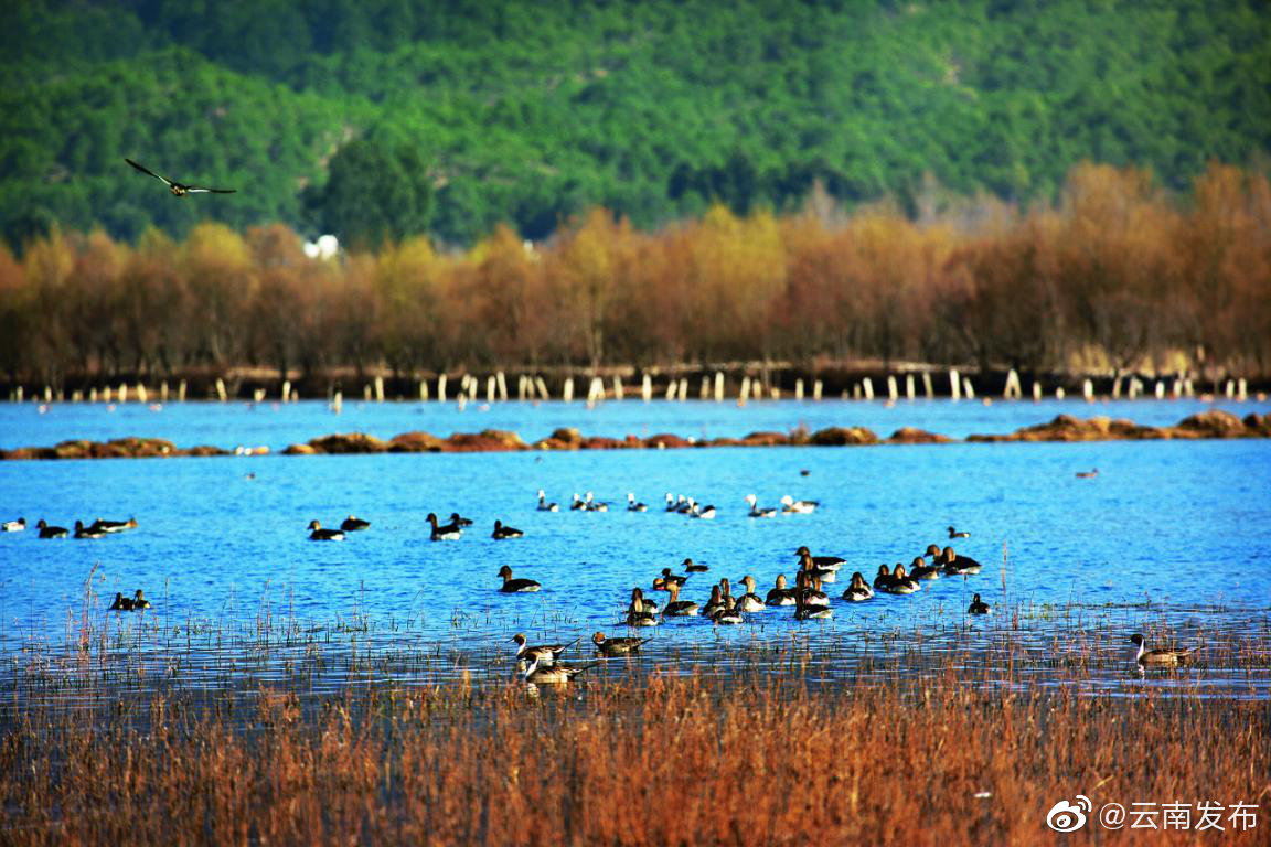 云南城市环境空气质量预报