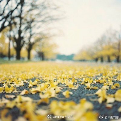 云南省未来24小时天气预报