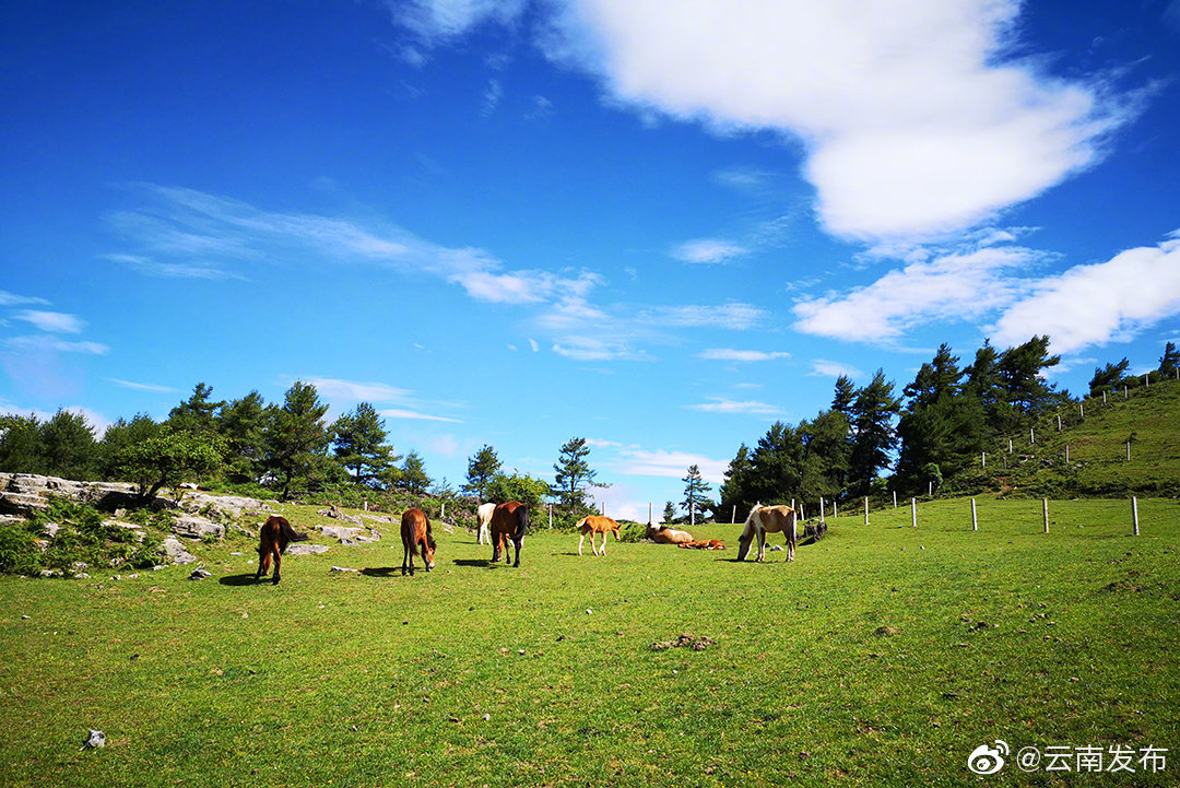 云南环境空气质量预报