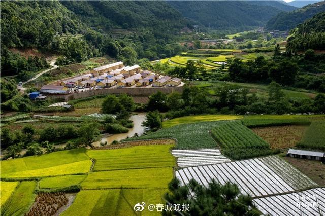 以西畴精神为魂念好战贫“实”字诀