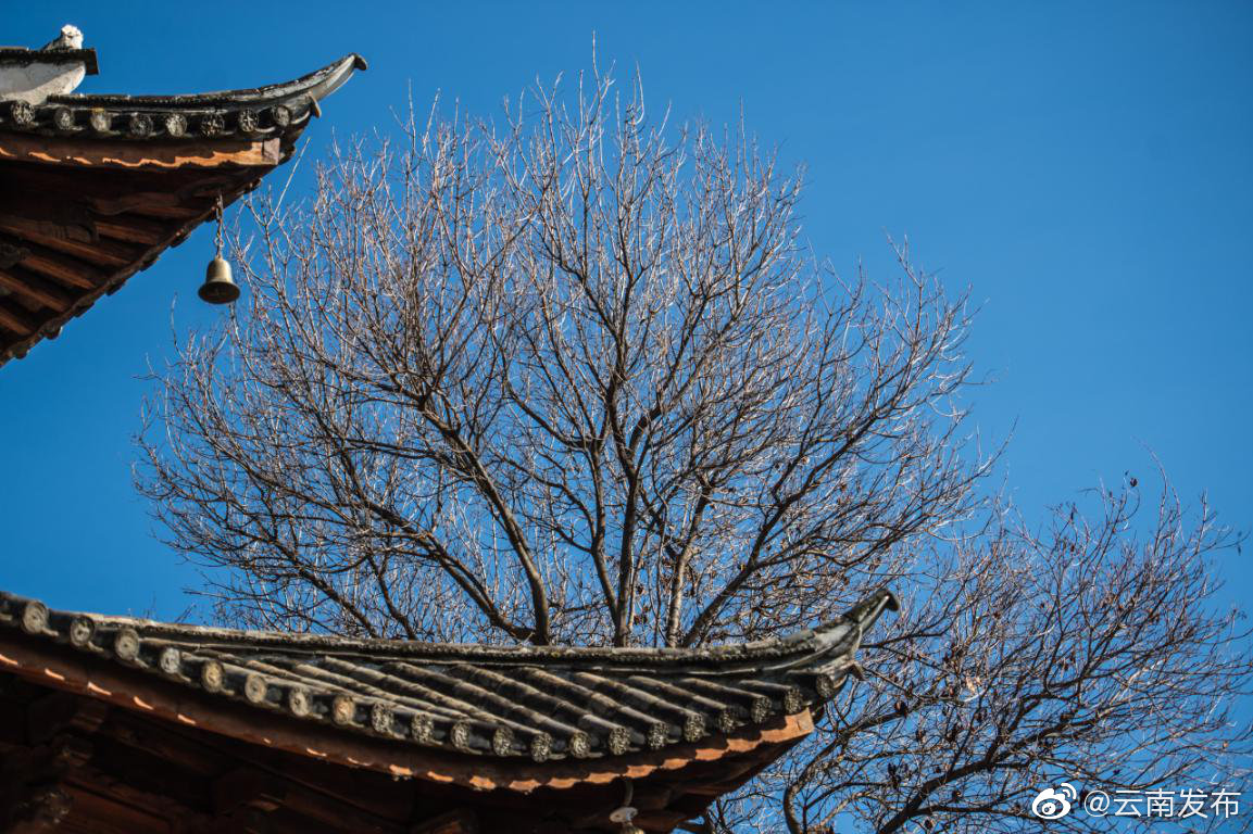 云南环境空气质量预报