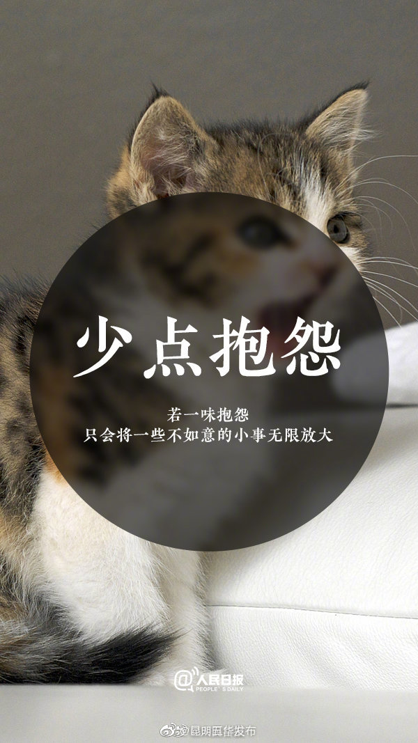 新浪微博