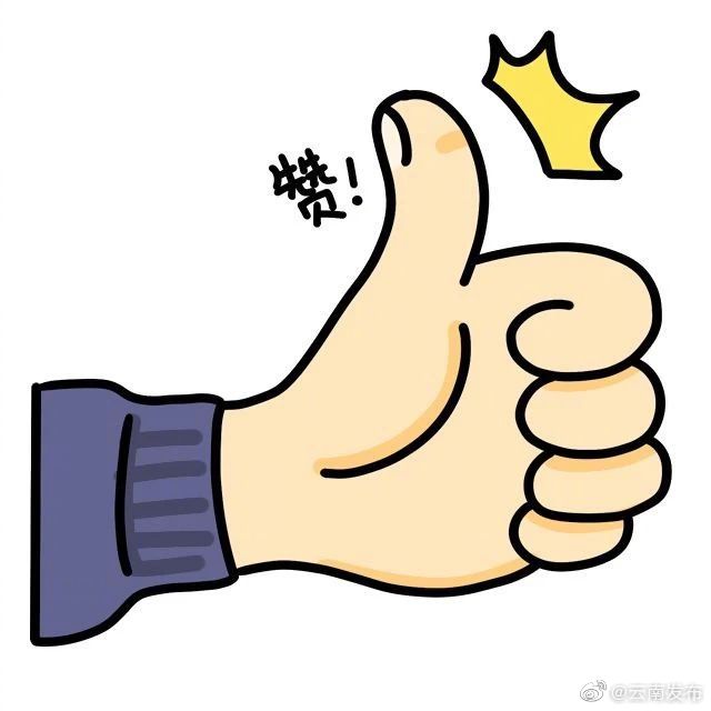 棒棒棒！云南两小将入选U19国青足球队