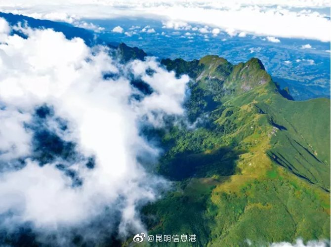 新浪微博