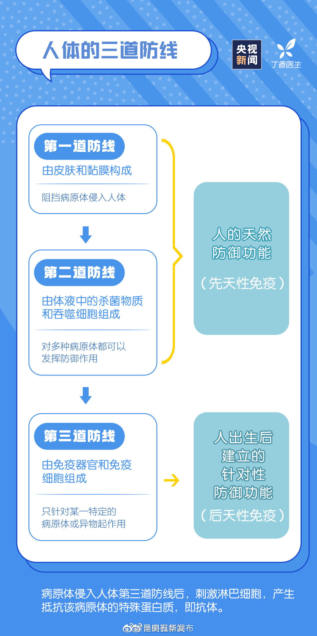 新浪微博