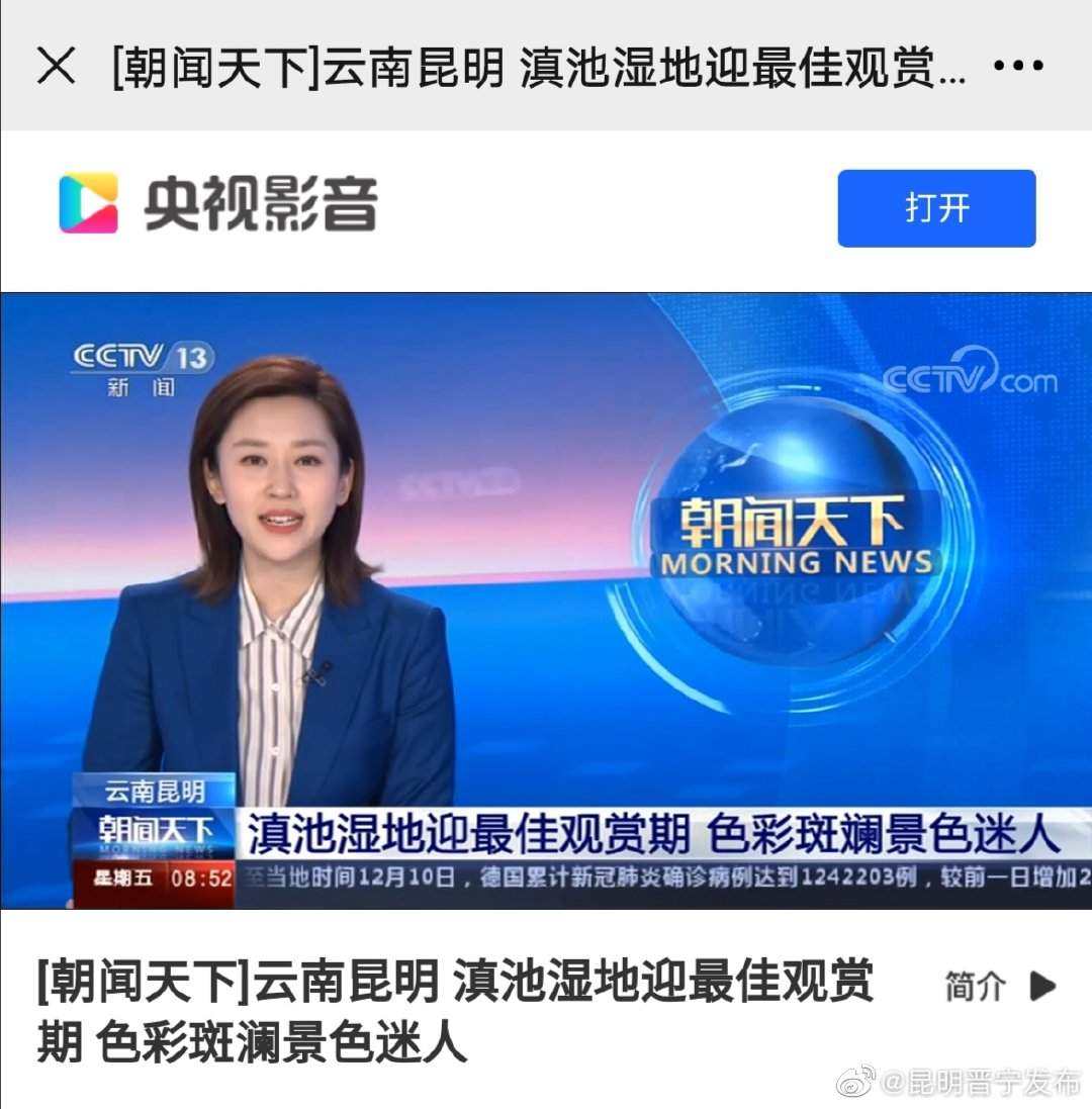 新浪微博