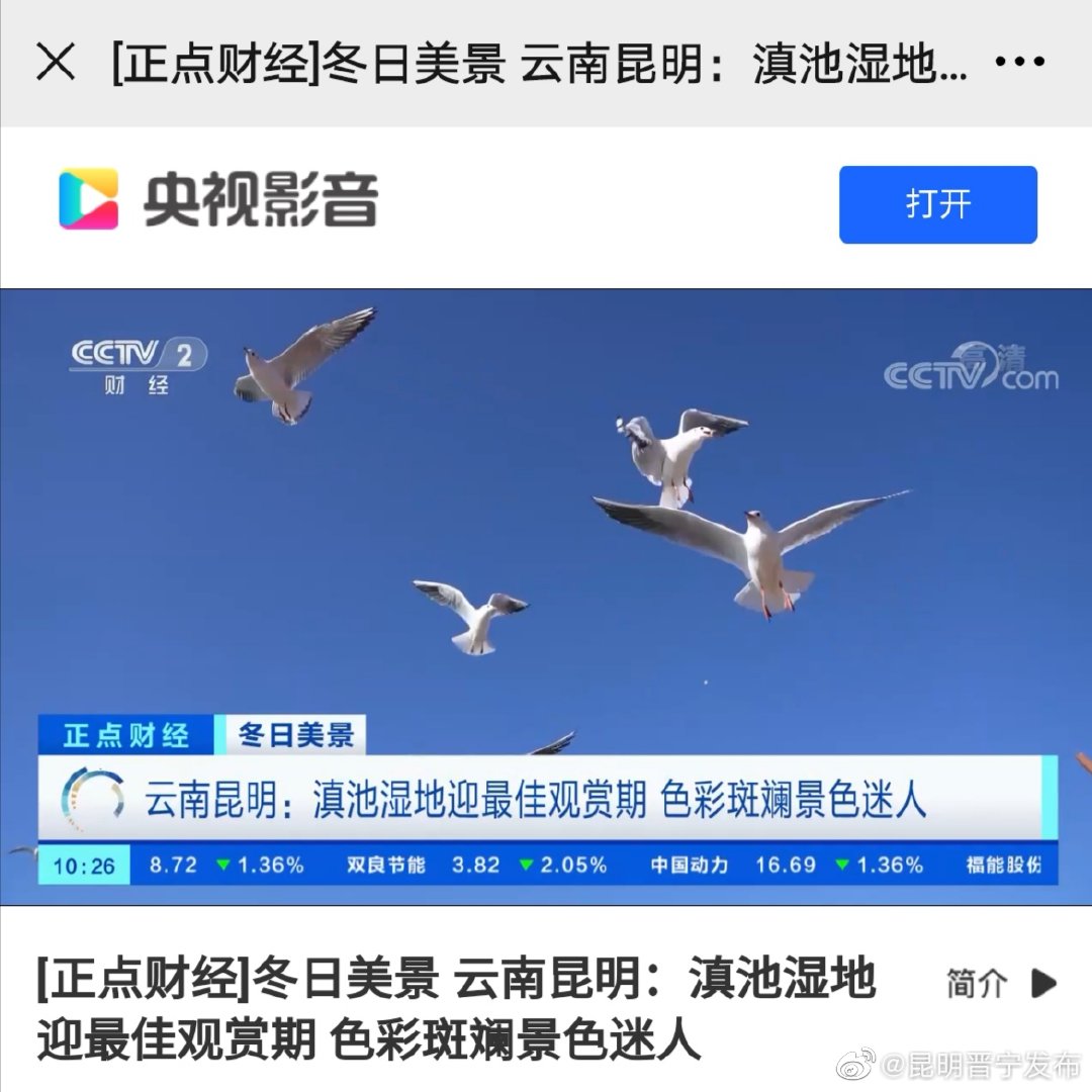 新浪微博