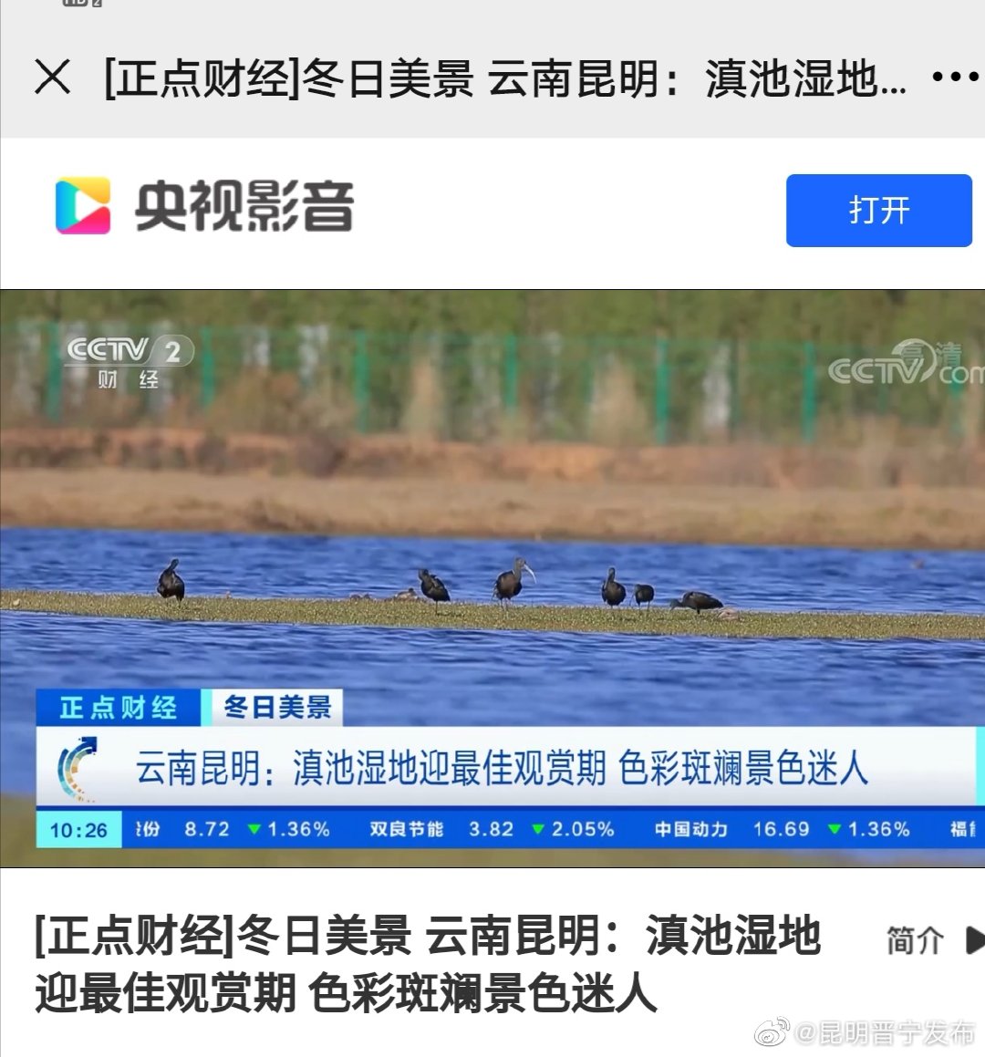 新浪微博