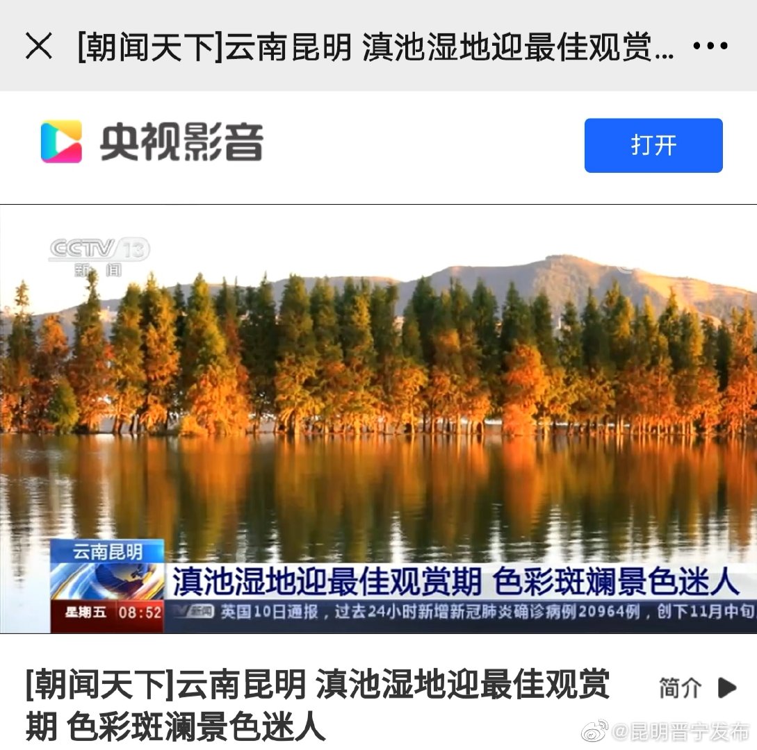 新浪微博