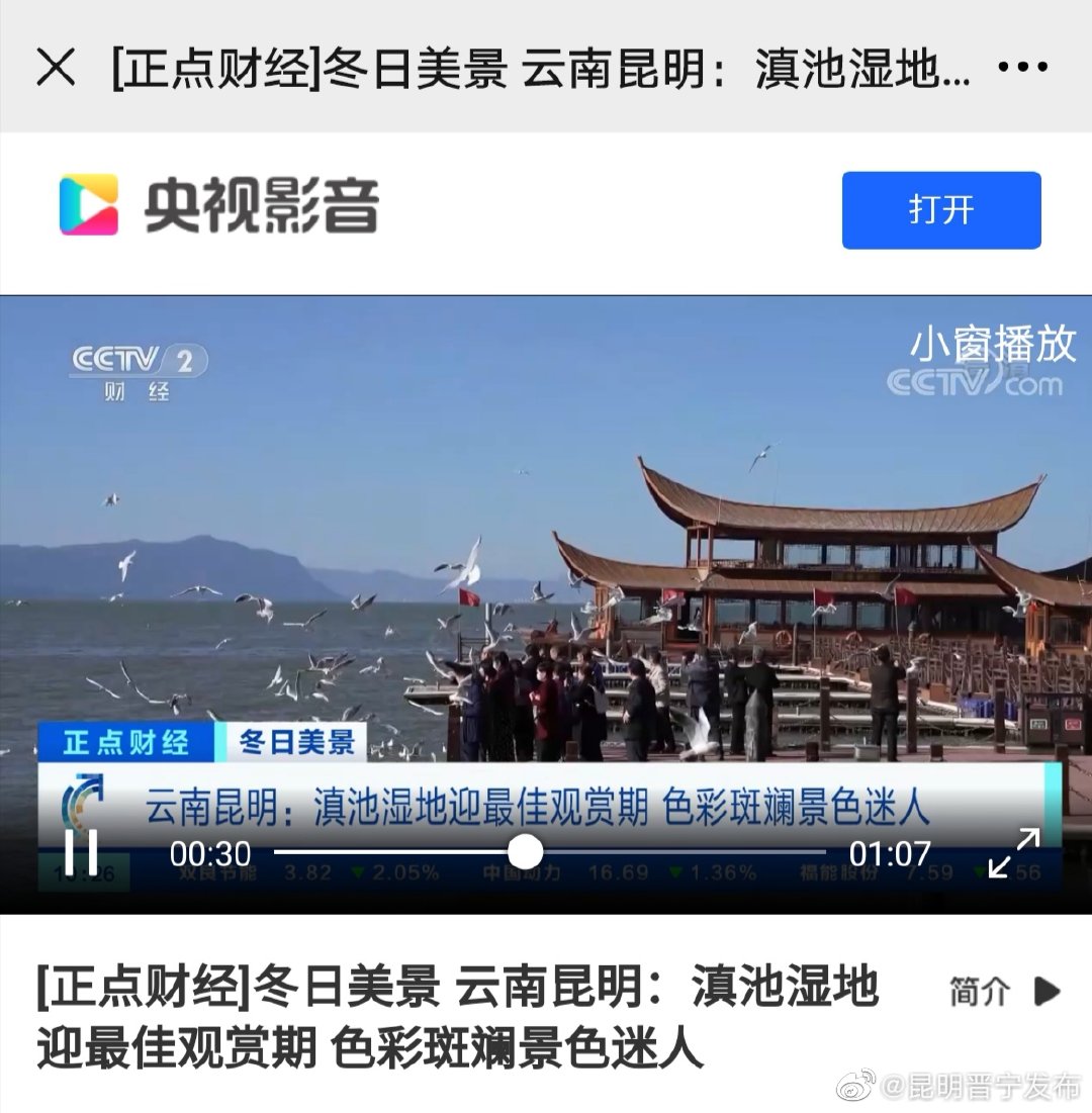 新浪微博
