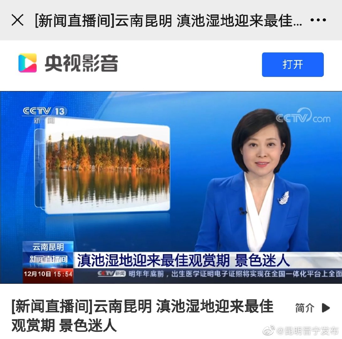 新浪微博