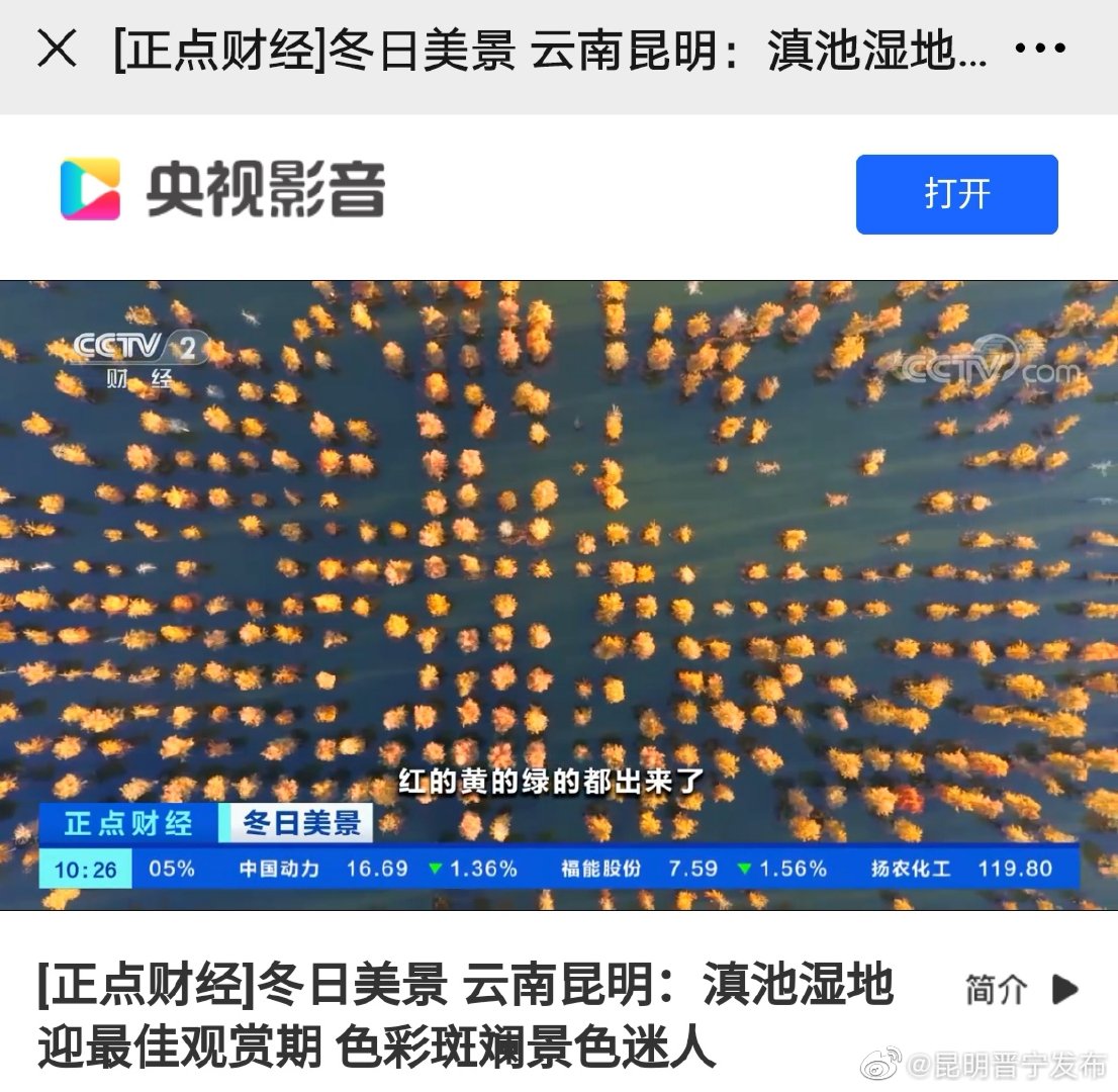 新浪微博