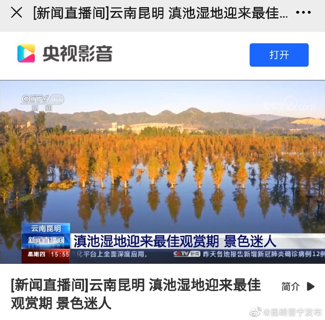 新浪微博