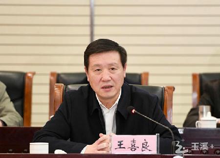 王喜良对澄江化石地自然博物馆的建设运营所取得的成效表示赞赏.