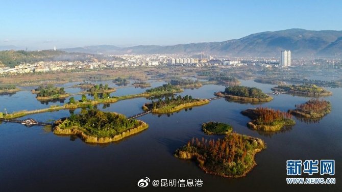 新浪微博