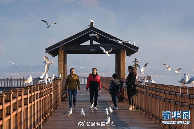新浪微博