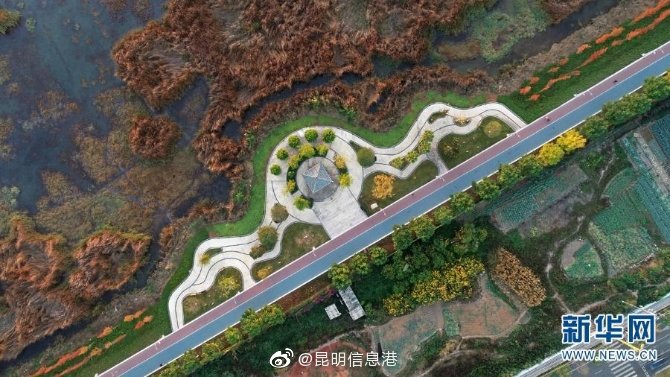 新浪微博