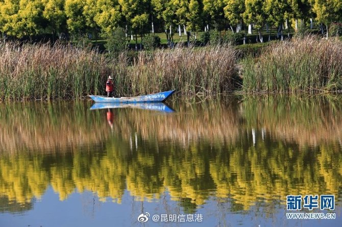 新浪微博