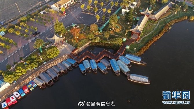 新浪微博