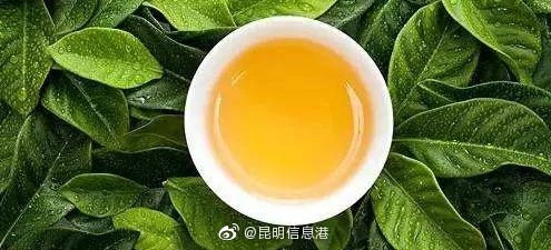 新浪微博