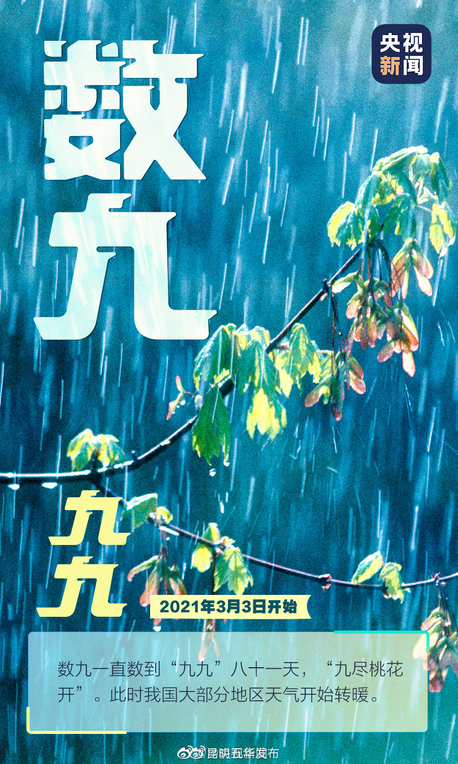 新浪微博