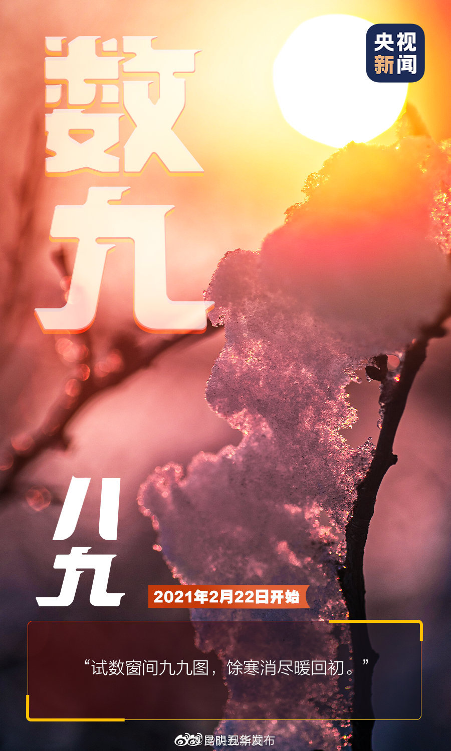 新浪微博