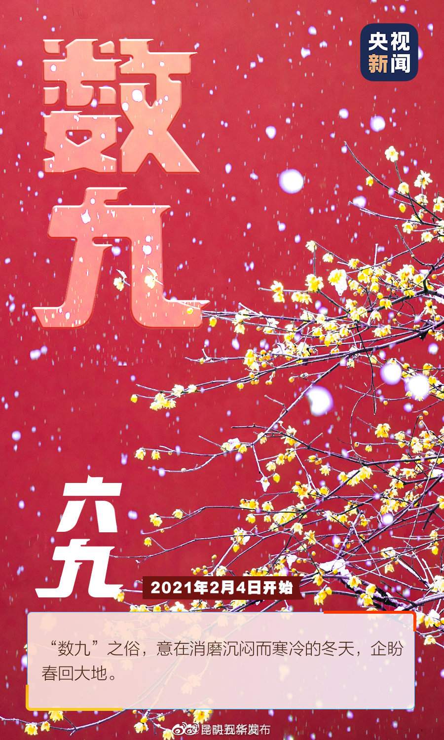 新浪微博