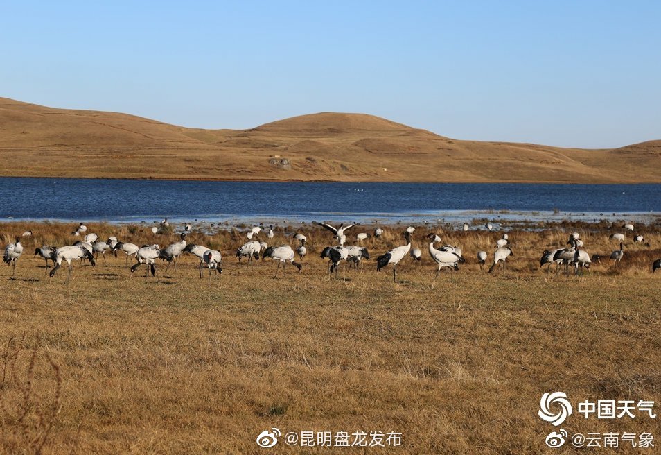 云南省未来24小时天气预报
