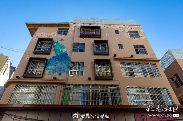 新浪微博