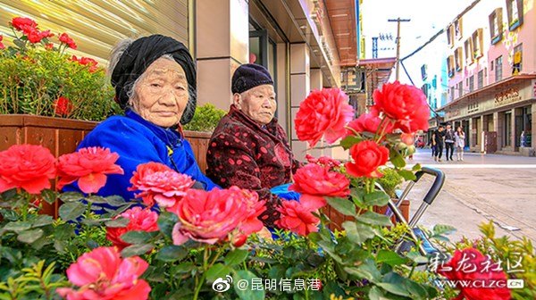 新浪微博
