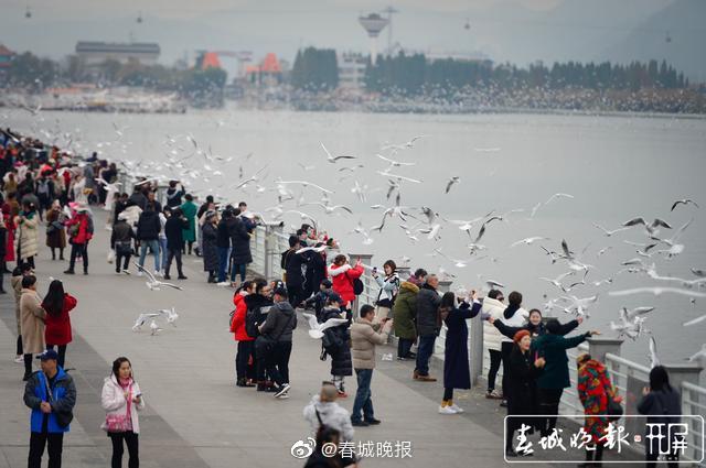 新浪微博